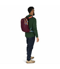 Osprey Daylite